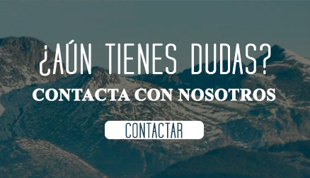 contactar