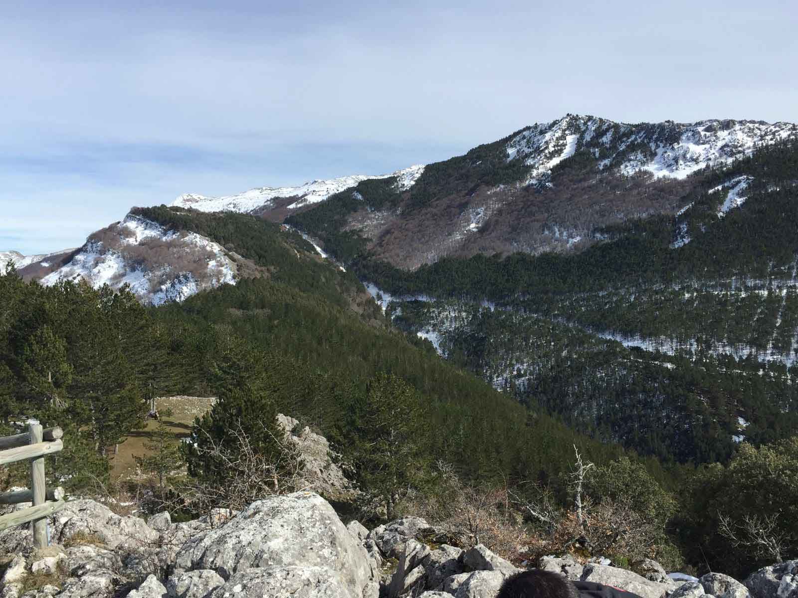 Mirador los rejos