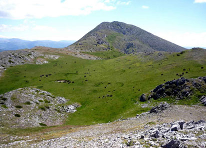 Pico peñacorada